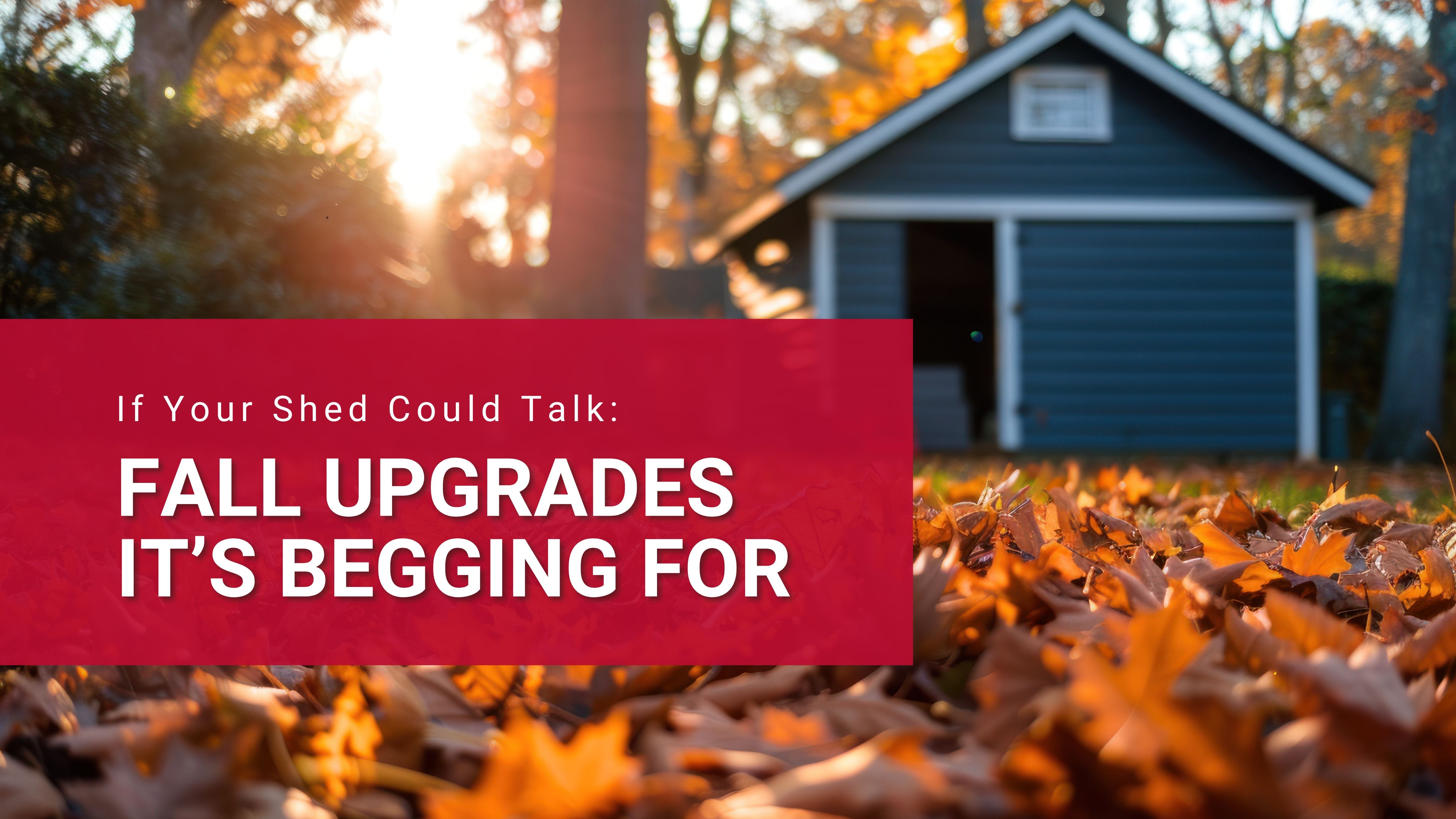 If Your Shed Could Talk: Fall Upgrades It's Begging For