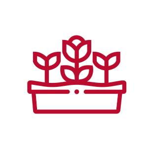 flower boxes icon