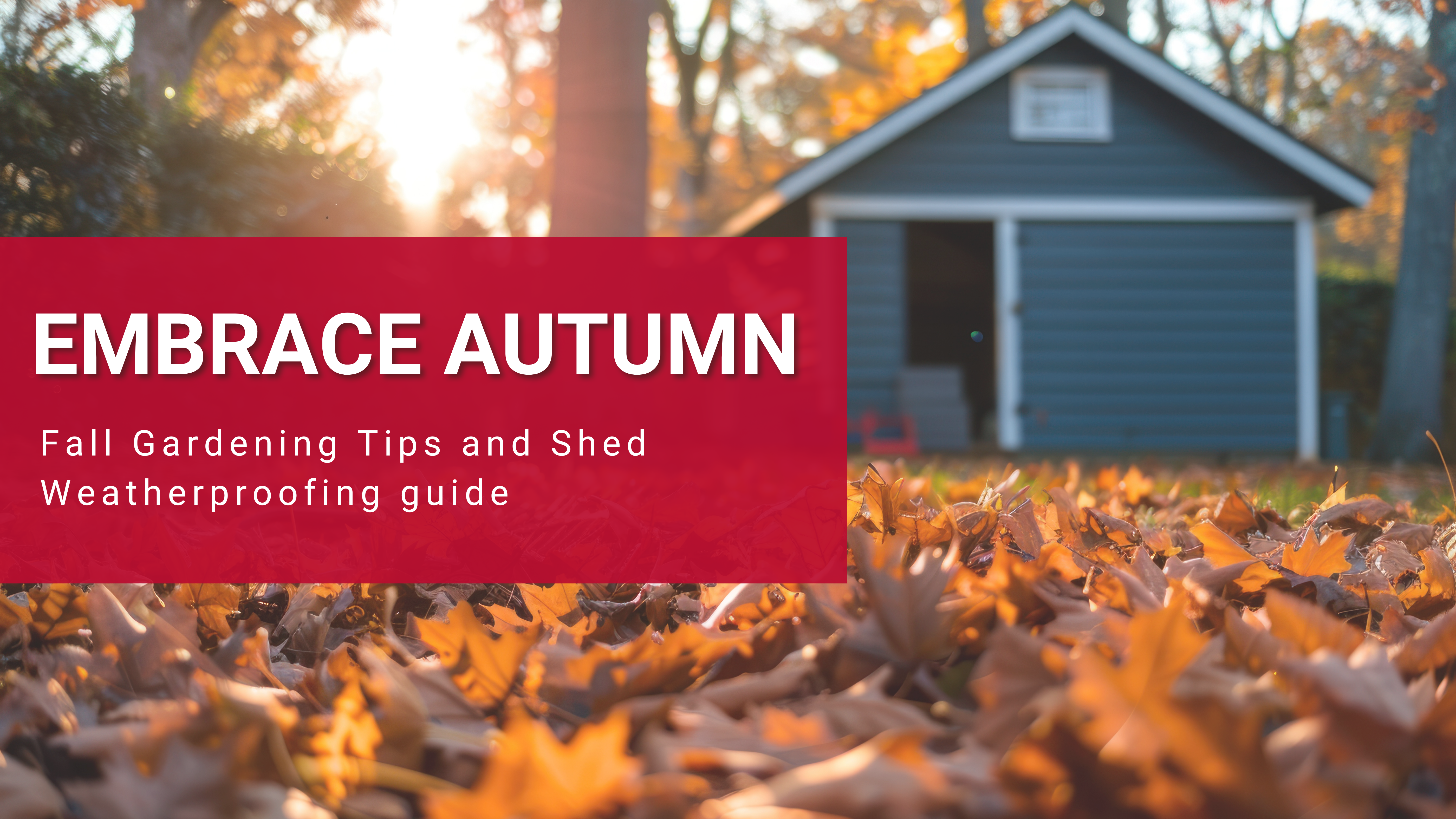 Embrace Autumn: Fall Gardening Tips and Weatherproofing Guide