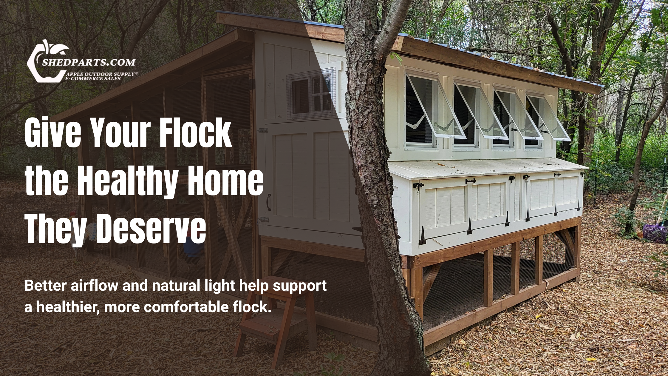 Chicken Coop Windows 101: Ventilation, Light, and Predator-Proofing
