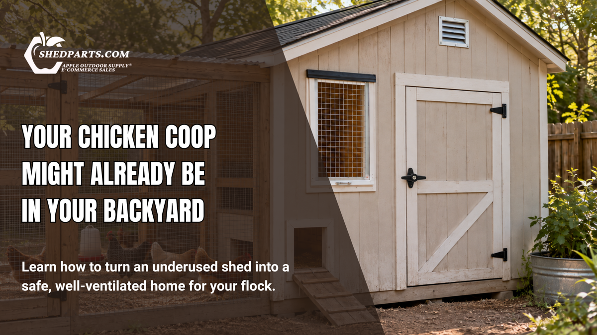 A New Home for Your Flock: Your Shed-to-Coop Guide